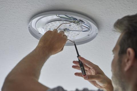 Wiha Próbnik napięcia 150-250 V płaski czarny, z klipsem do przypinania w blistrze w blistrze 3.0 mm (31771)
