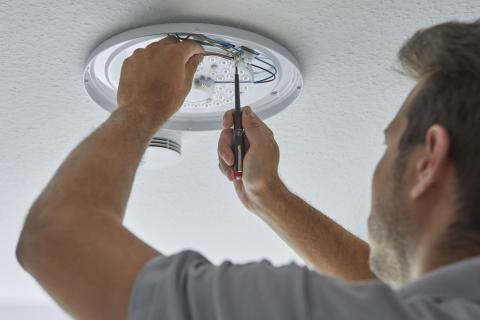Wiha Próbnik napięcia 150-250 V płaski czarny, z klipsem do przypinania w blistrze w blistrze 3.0 mm (31771)